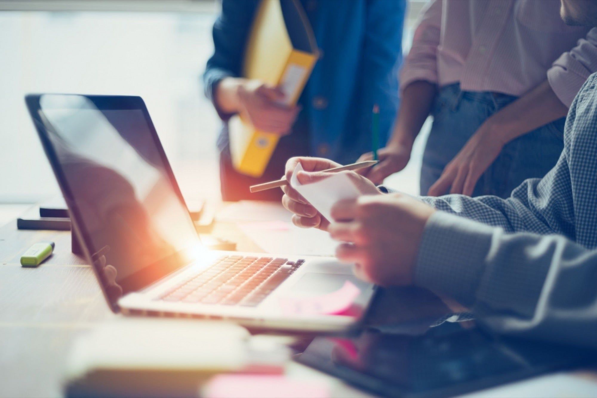 19+ Advertising Platforms for Arborists