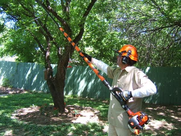 Types of Insurance Arborists Should Consider