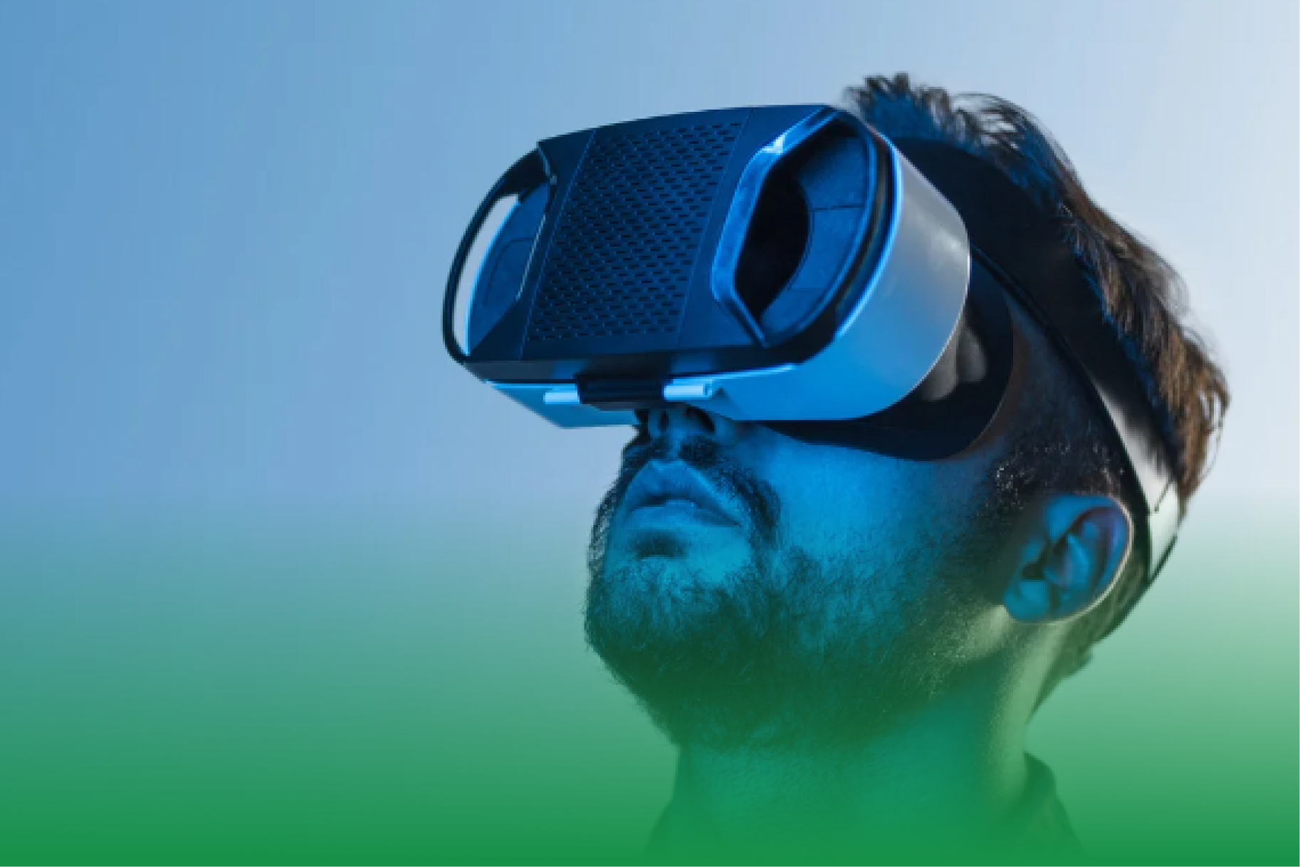 6. Virtual Reality (VR) Training for Arborists
