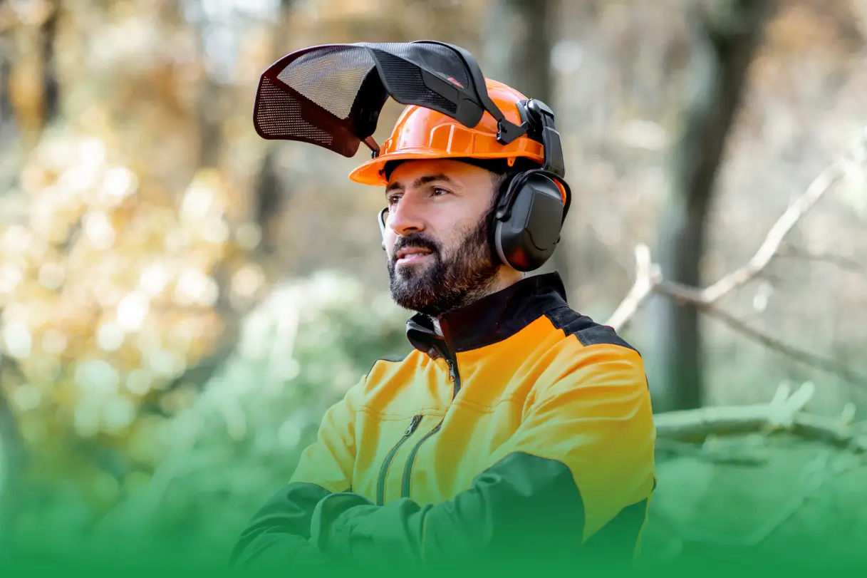 The Complete Manual to Starting a Career in Landscaping and Tree Care