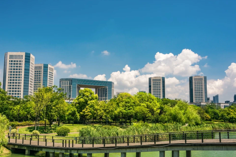 The Role of Arborists in Urban Forestry and Green Space Management