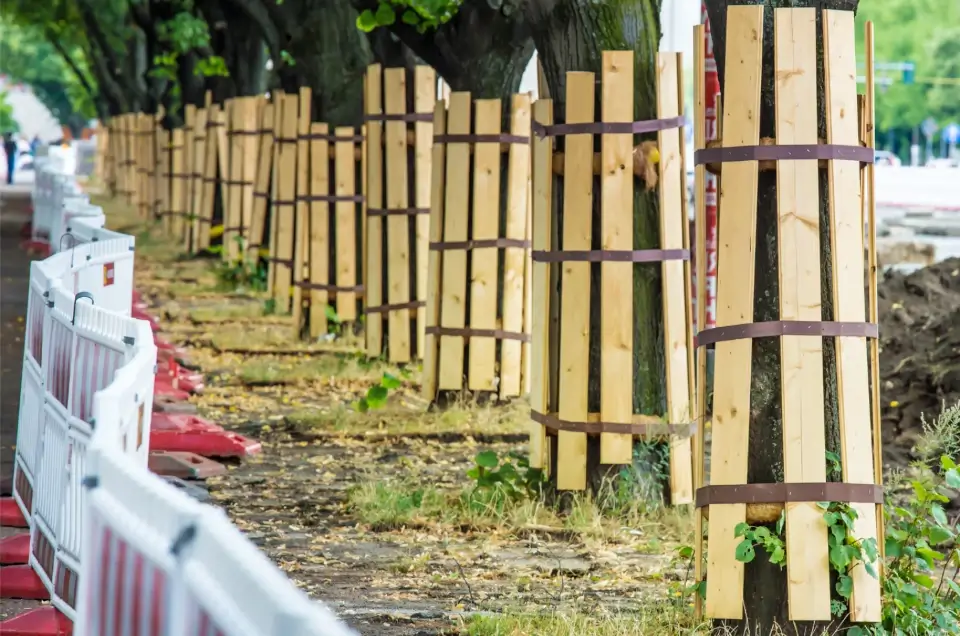 Tree Preservation During Construction: Arborist Best Practices