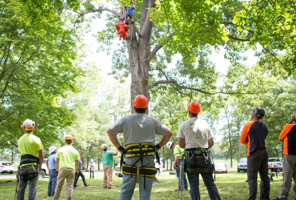 Arboriculture Today: Beyond Tree Care