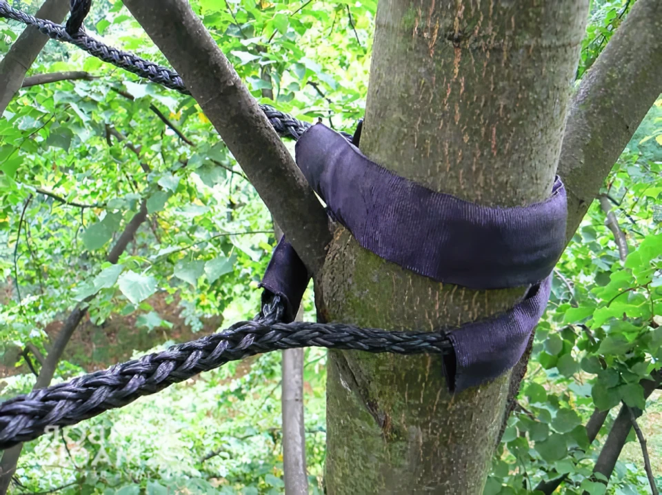 Modern Tree Cabling and Bracing Techniques