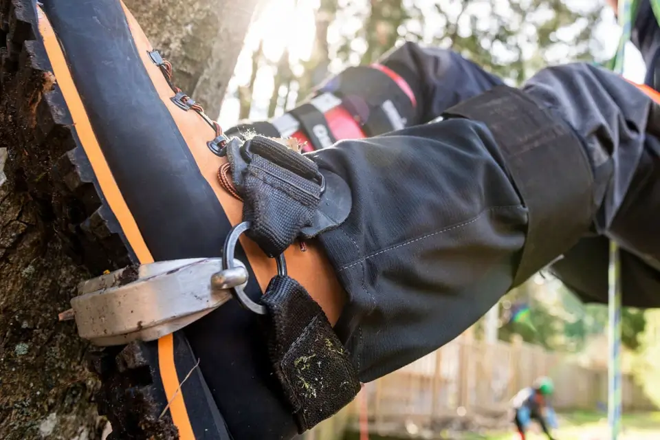 Best Boots for Arborists: A Comprehensive Guide