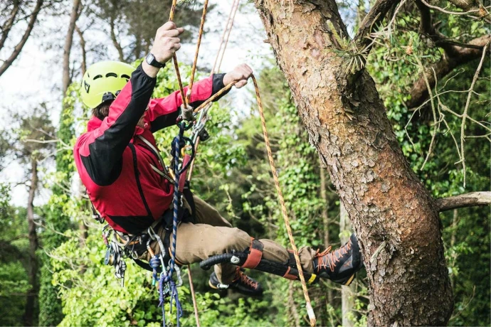 Why Communication is Crucial on a Worksite - Using New Tech