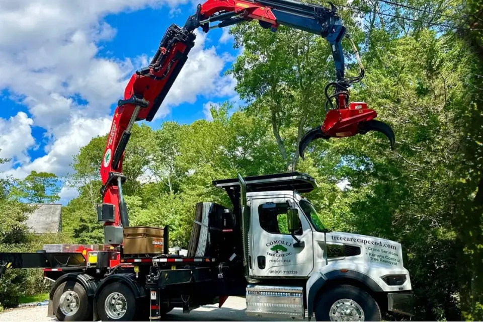 Rigging vs. Crane Removals: A Comprehensive Guide for Arborists
