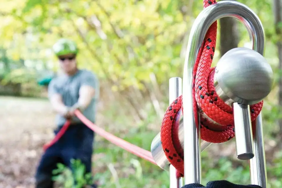 Crane Removals in Tree Care