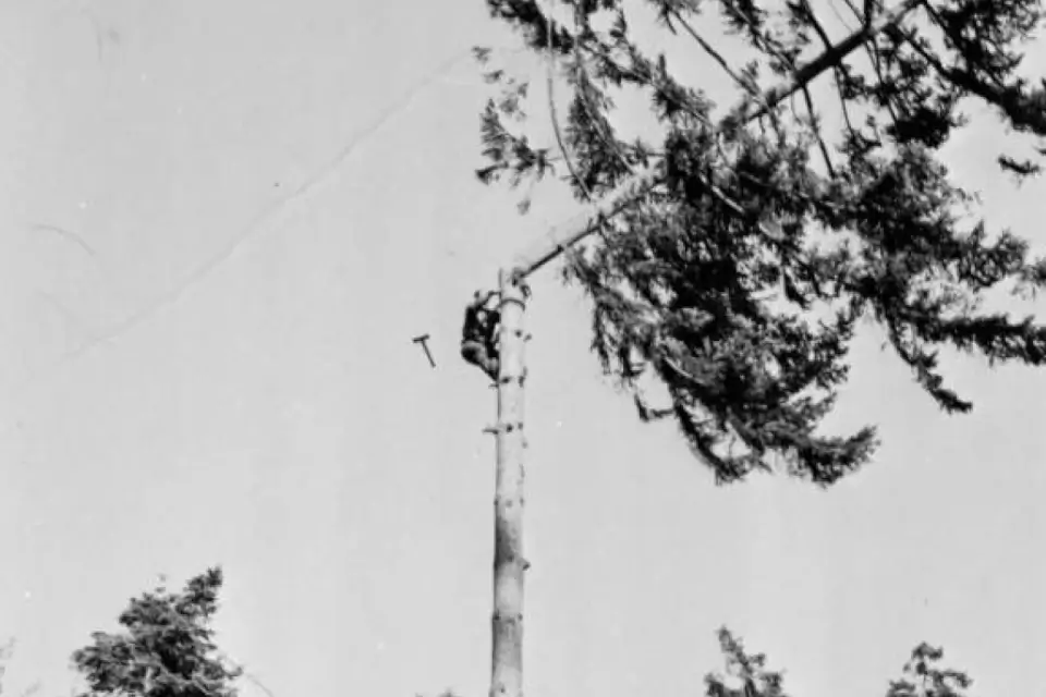 Oldschool vs. Newschool Climbing: A Comprehensive Dive for Modern Arborists