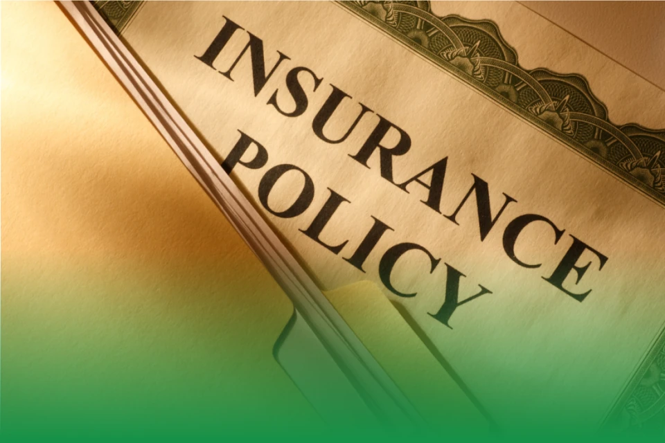 4 Legal Things Every Arborist Should know: Liability And Insurance Explained
