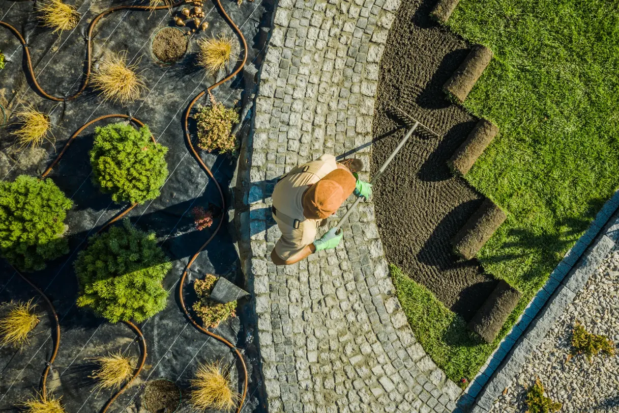 Integrating Tree Care with Landscape Design