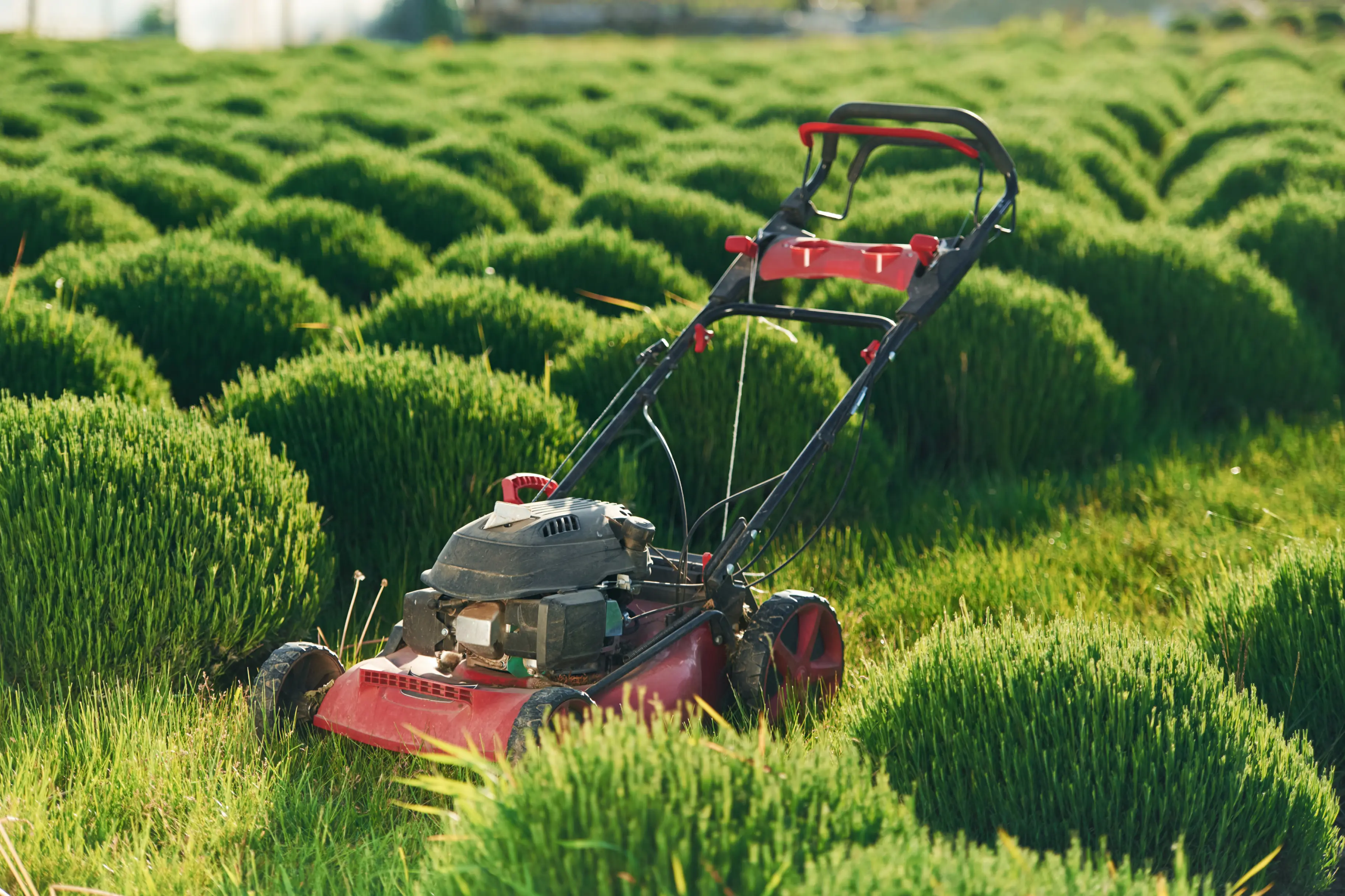 How Much to Charge for Lawn Mowing: A Guide for Arborists and Tree Care Businesses