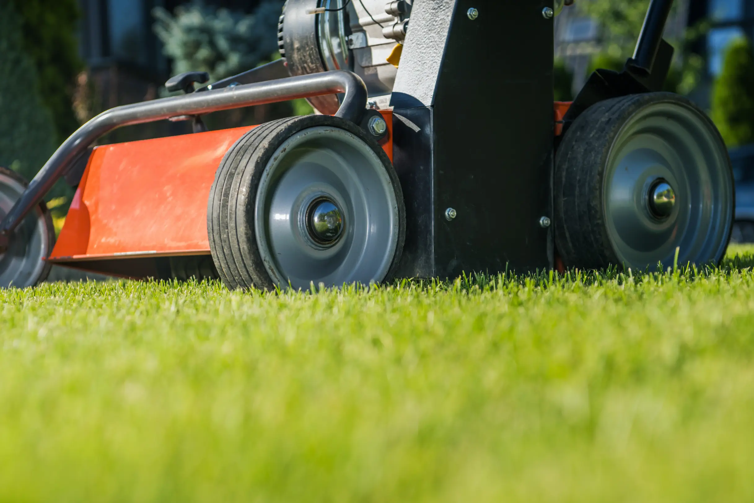 Starting a Lawn Care Business: A Detailed Guide