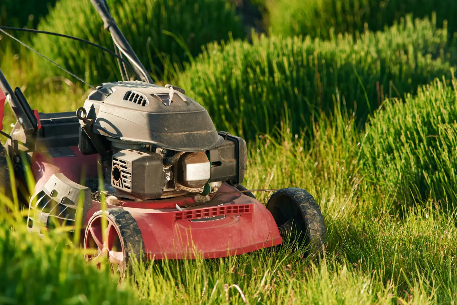 How to Start a Lawn Care Business: Equipment Needed