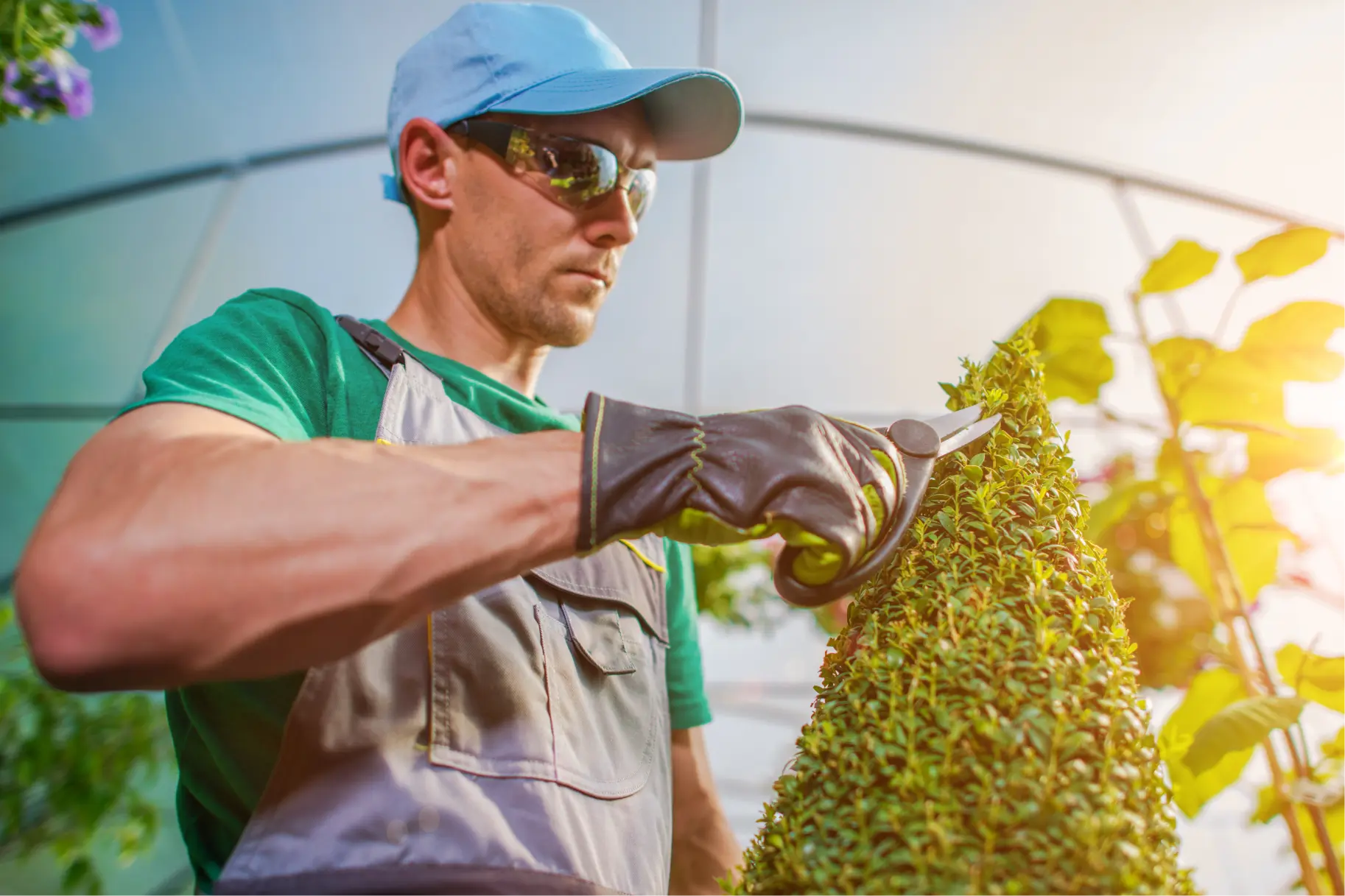 Landscaper Job Description: What are Landscaping Duties?