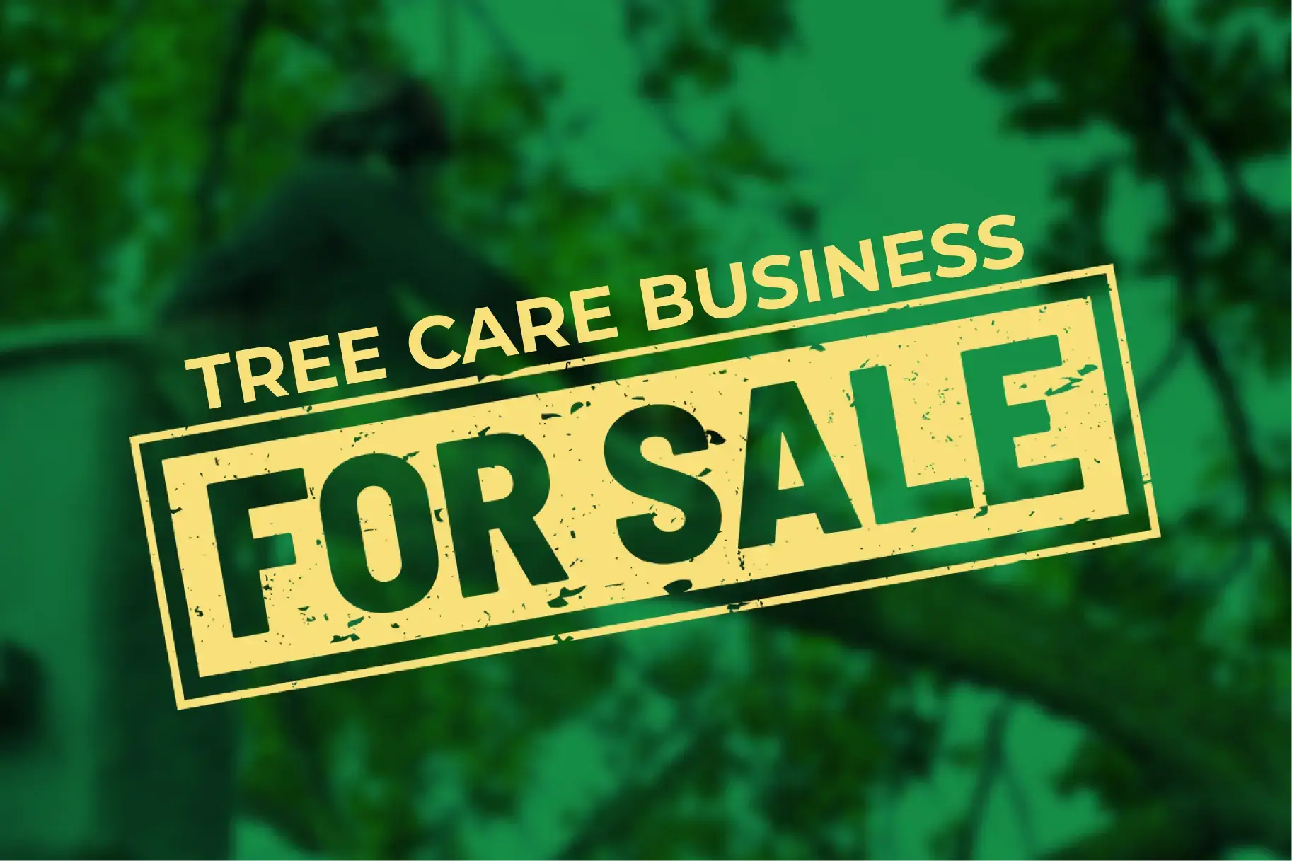 A Guide for Preparing Your Tree Care Business for Sale