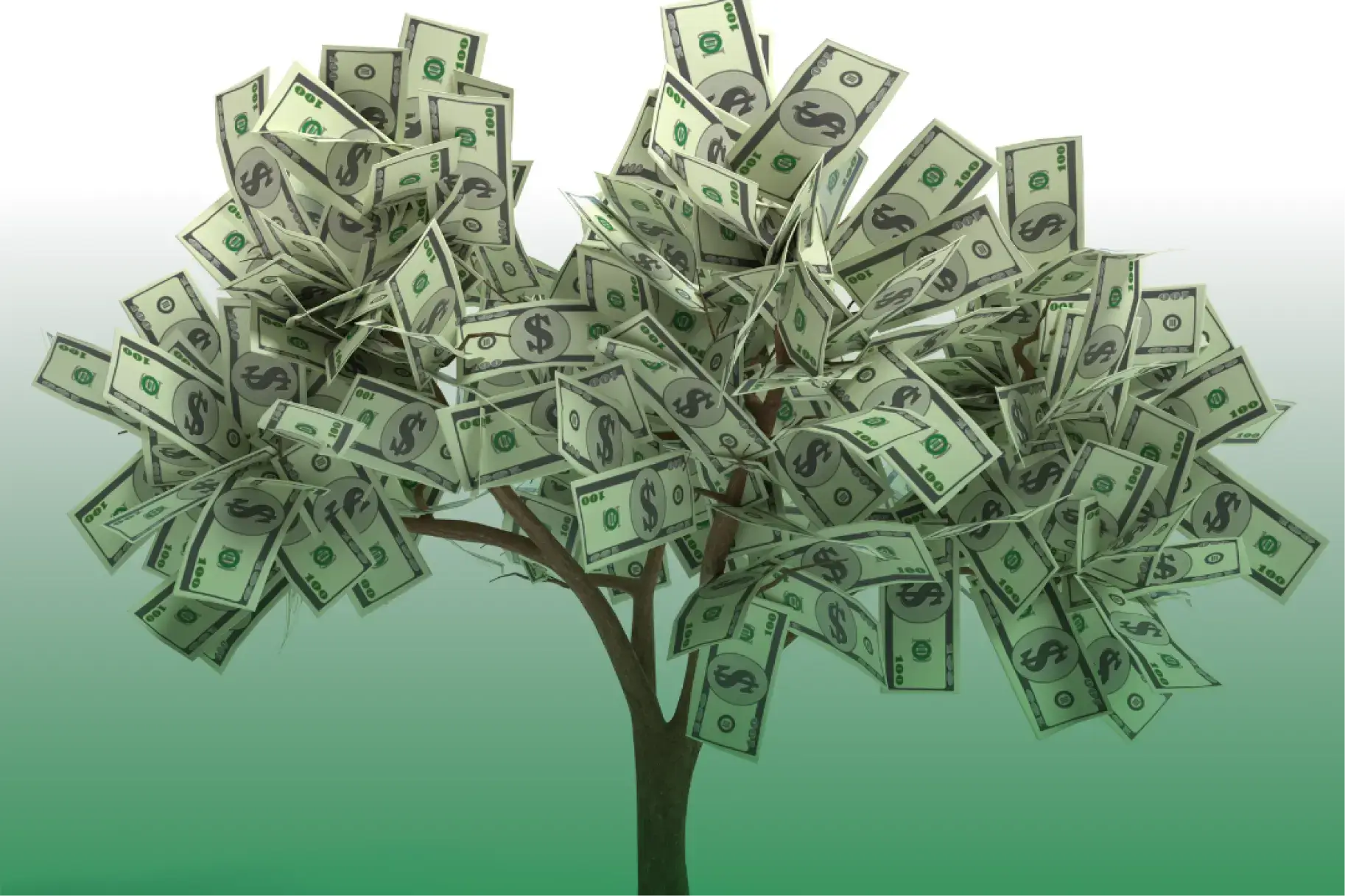 Best Marketing Ideas for Tree Service Companies in 2025