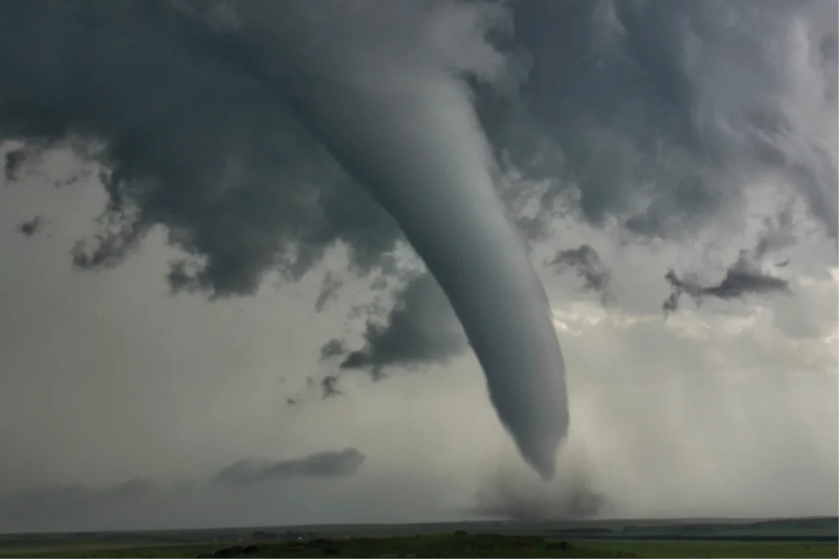 Prepping Trees for Tornadoes and Hurricanes