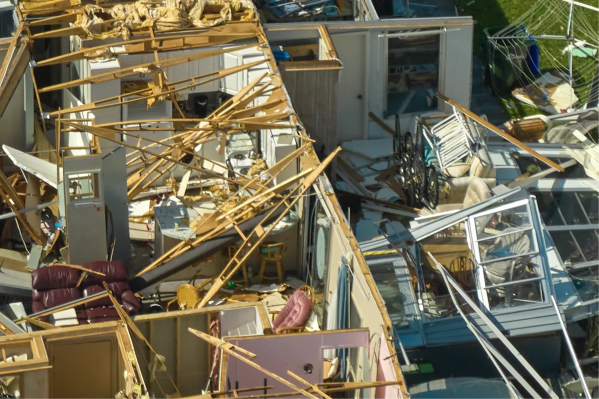 How can I prep my trees and landscape for hurricanes and tornados?