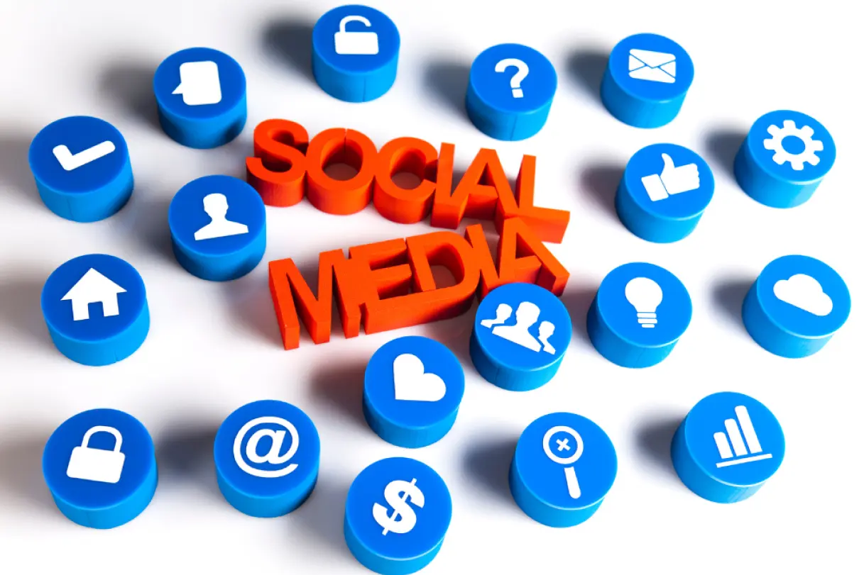 Top Tree Service Marketing Ideas