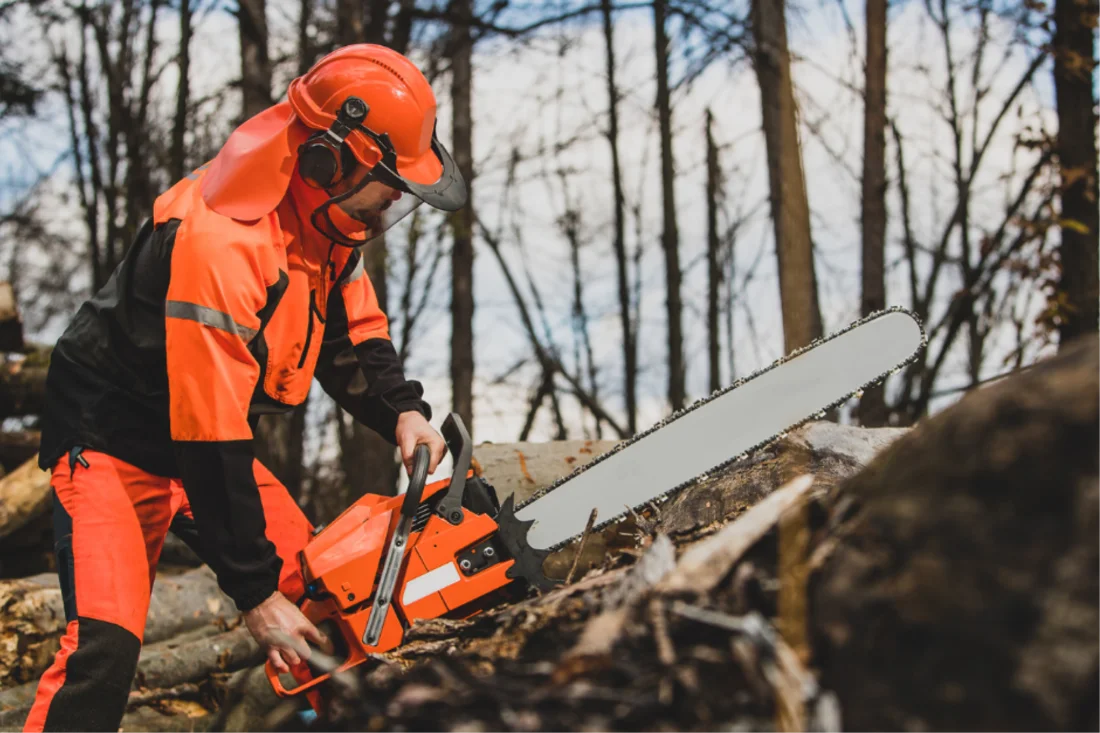 What tools do I need for climbing trees?