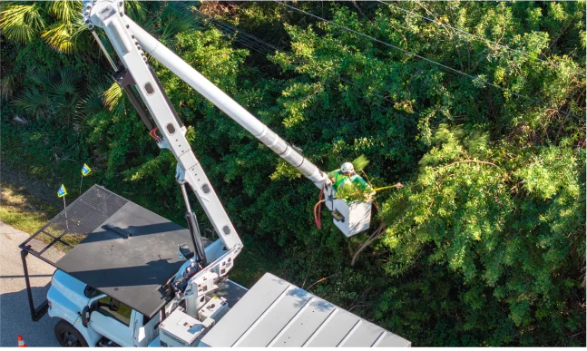 What Affects Tree Service Profitability?