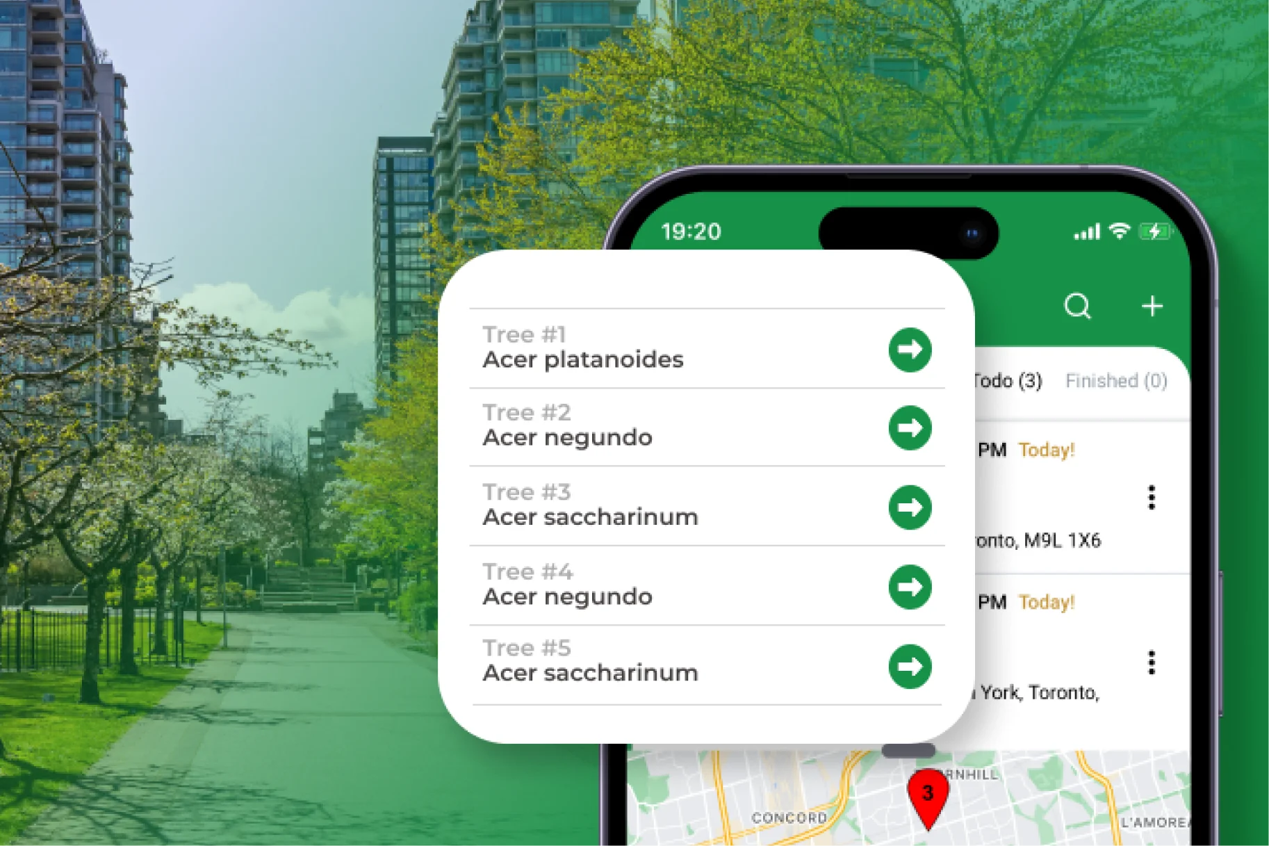 Tree Inventories and Canopy Assessments: What Every Municipality Should Know