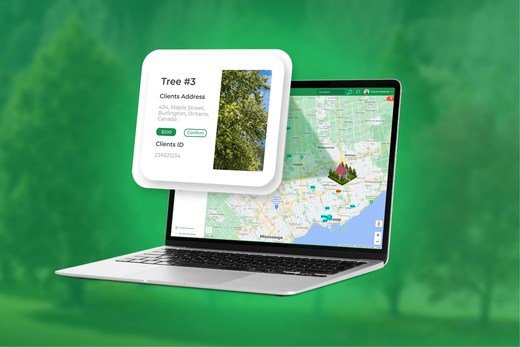 What Is a Tree Canopy Assessment?
