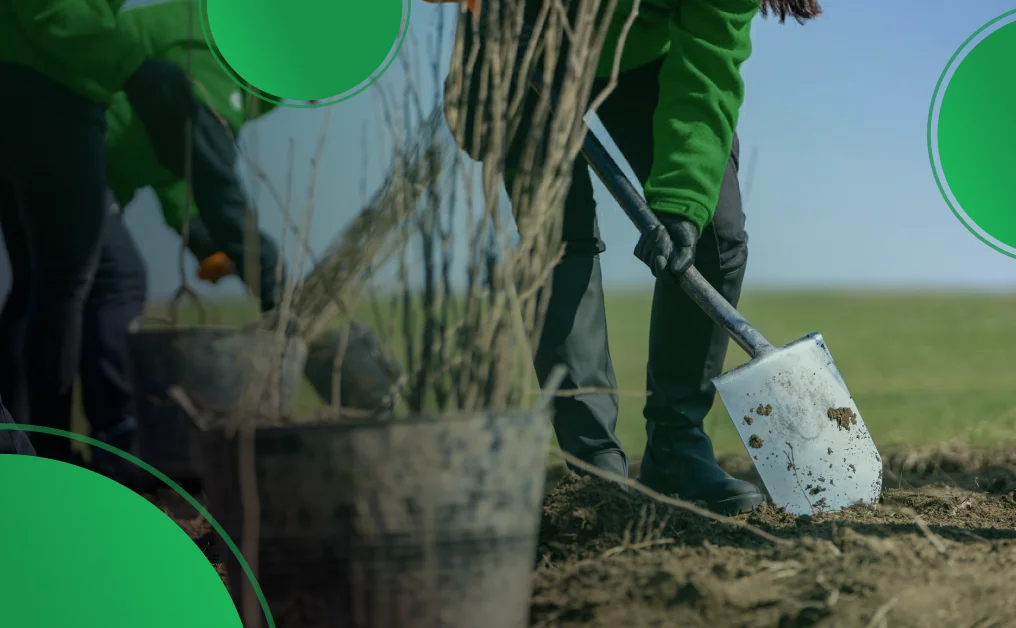 Sustainability and Community Engagement