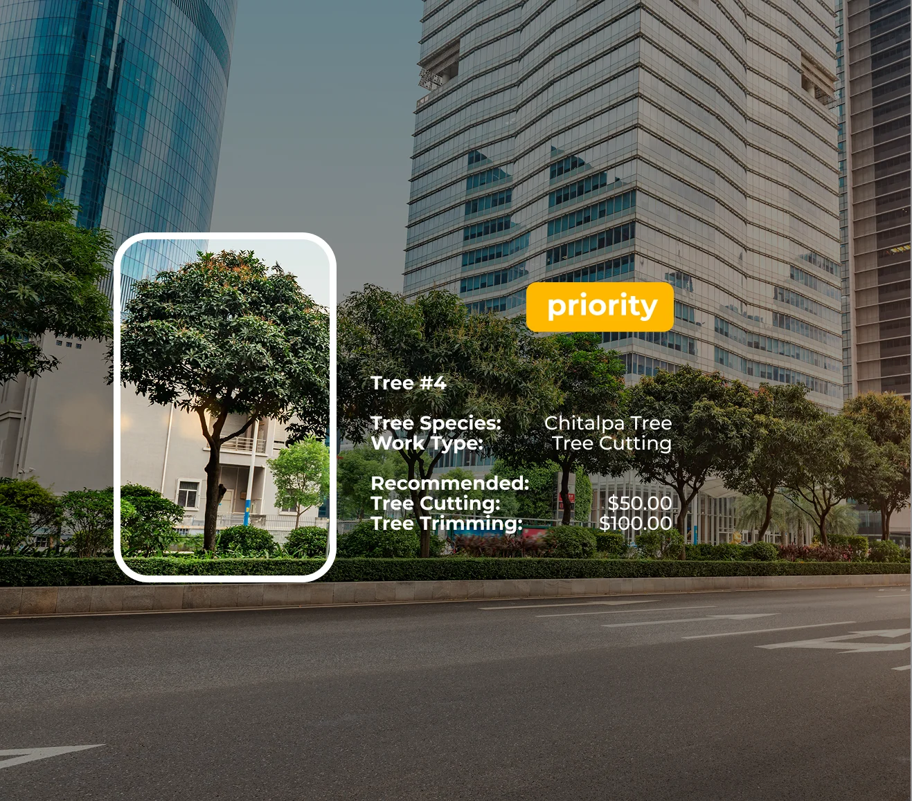 Municipal Asset Management for Urban Forestry