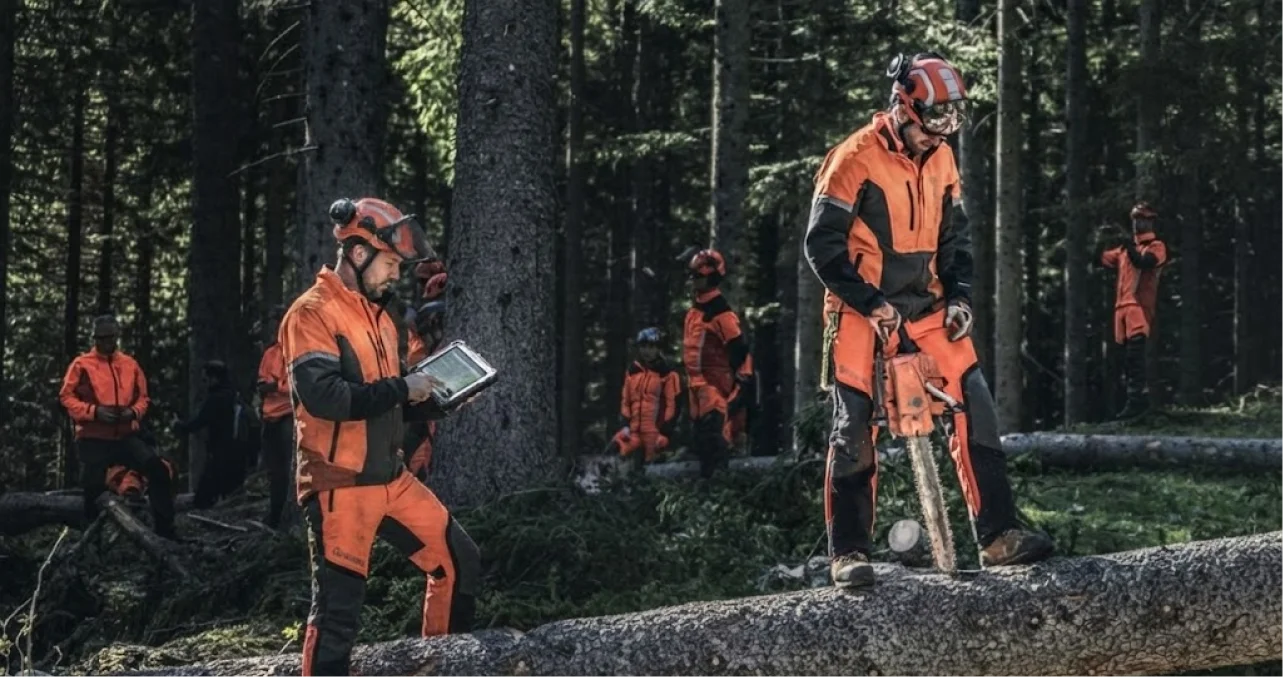 How to Scale Your Tree Care Business with Automation