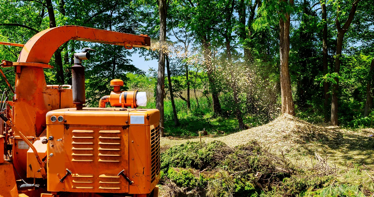 Understanding the True Cost of Tree Work