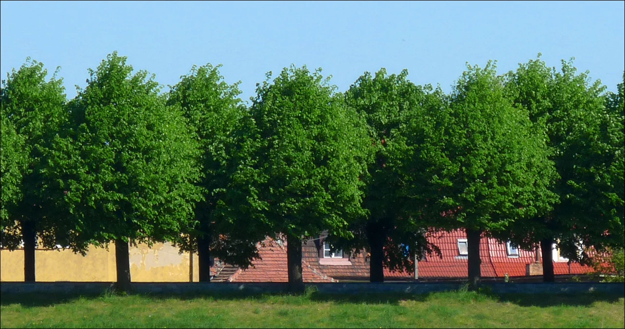 Why the Investment Is Worth It