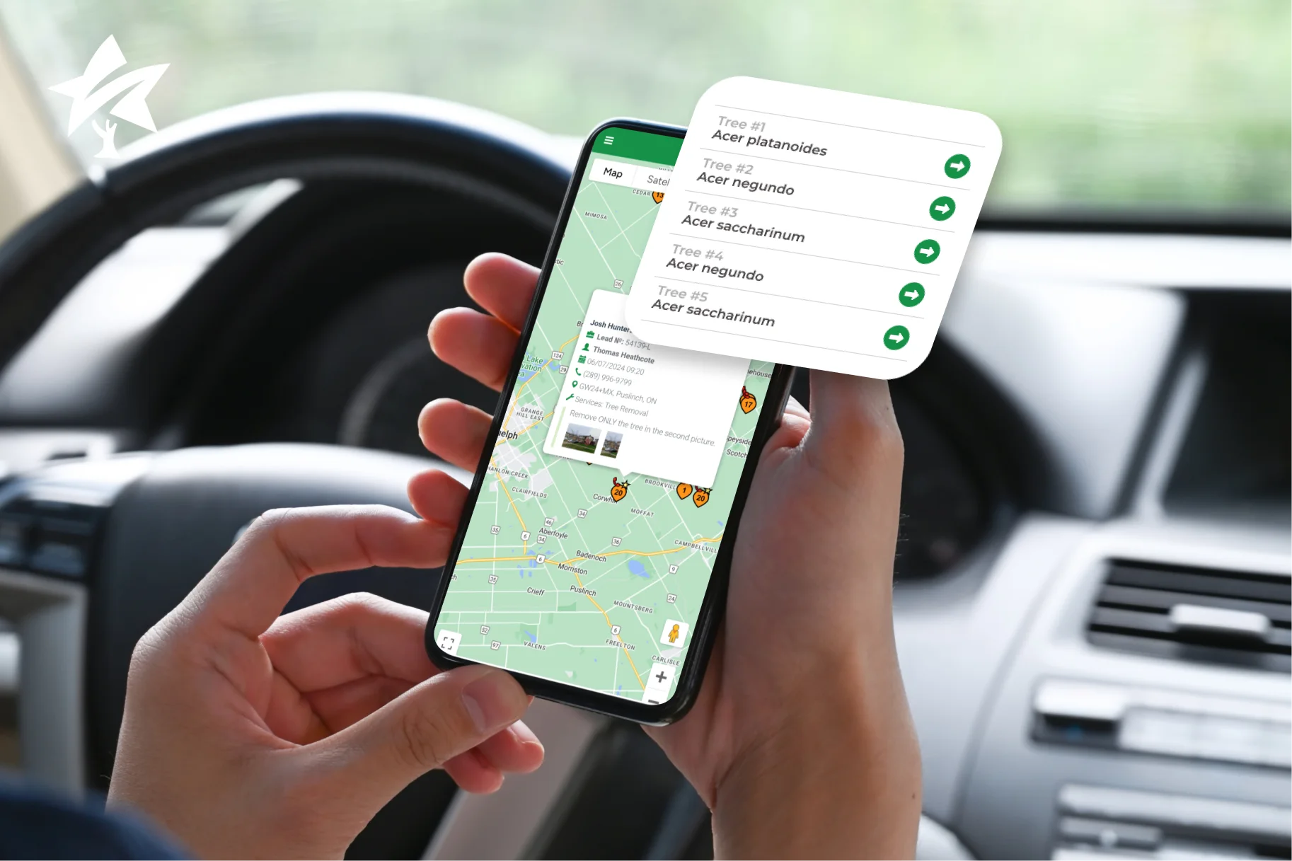 Why Tree Care Companies Look for Arborgold Alternatives