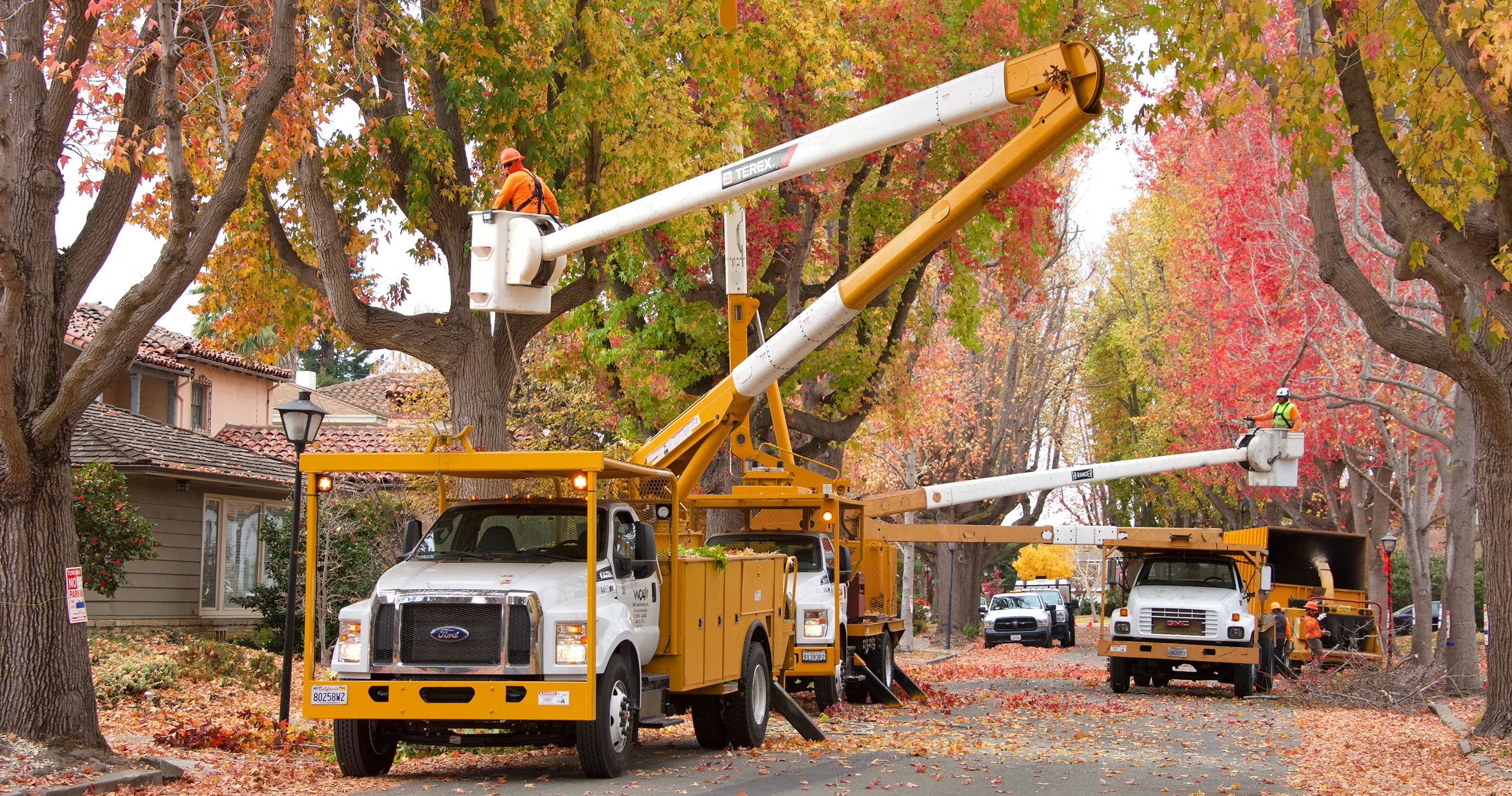 How to Choose the Right ArborNote Alternative for Your Tree Care Business