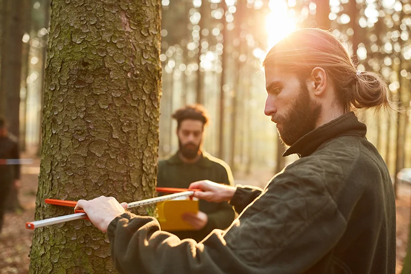 Top 10 Forest Management Software in 2026