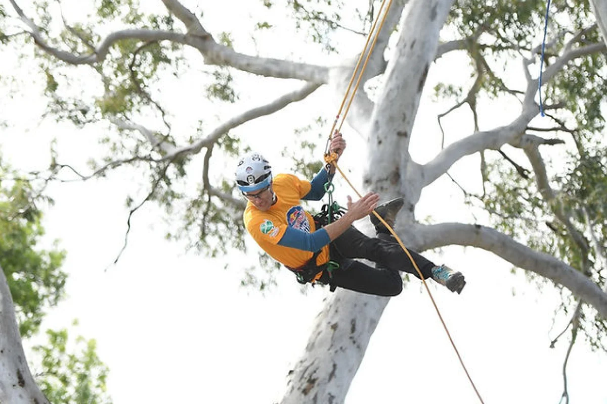 Australian Tree Climbing Championships (ATCC)