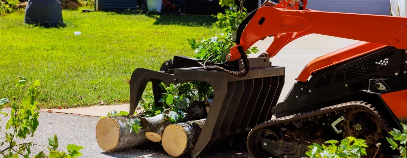 Tree Removal Insurance: What Every Arborist Business Needs in 2026