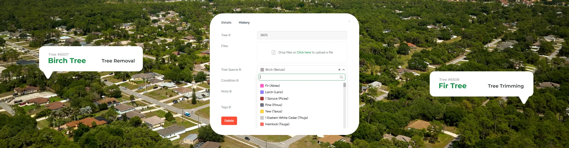 How Tree Inventory Works in ArboStar
