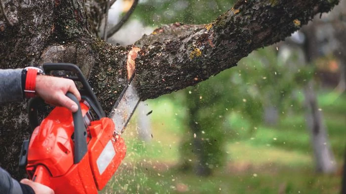 Implementing An Equipment Maintenance Schedule As An Arborist