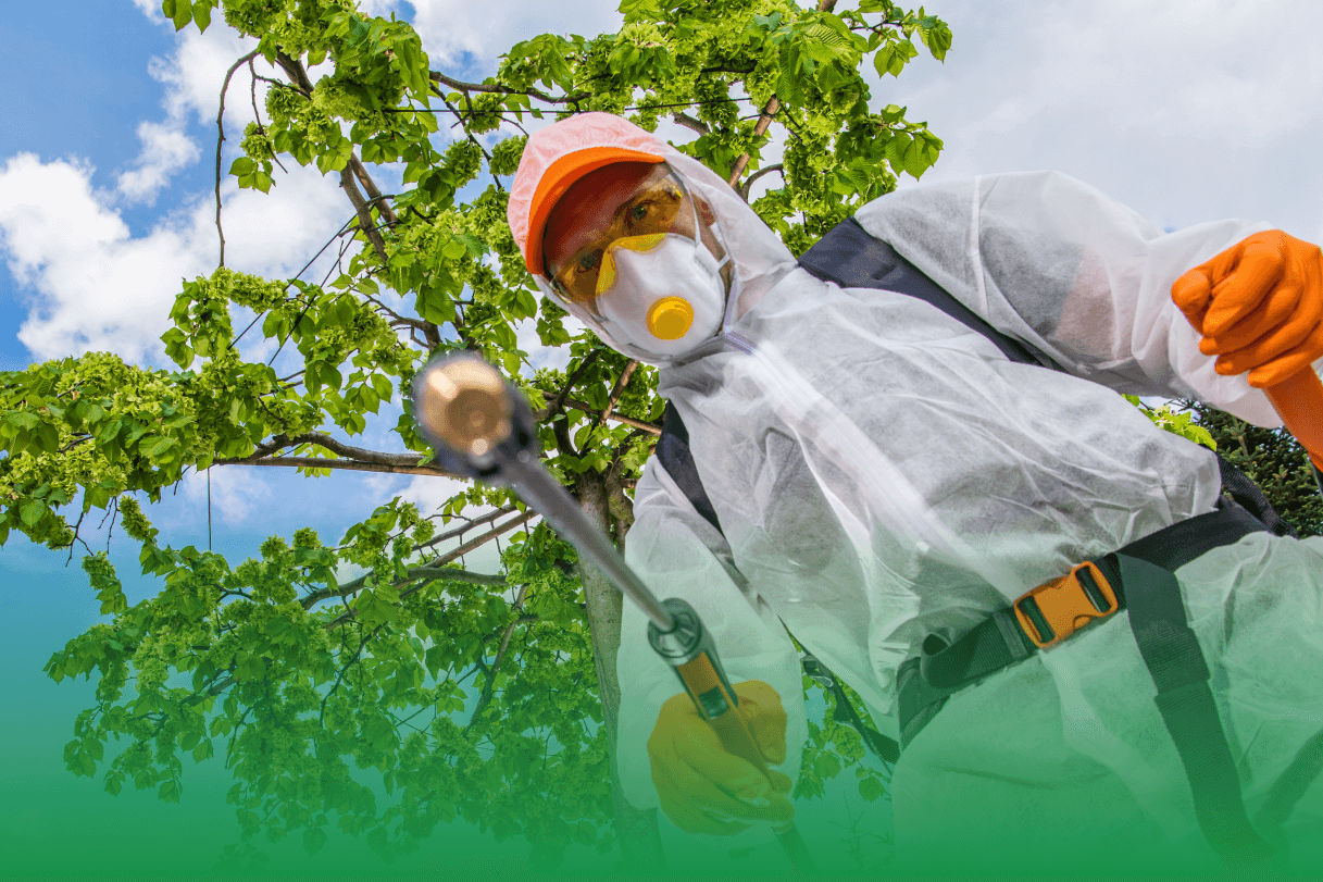 Safety First: Protocols for Arborists