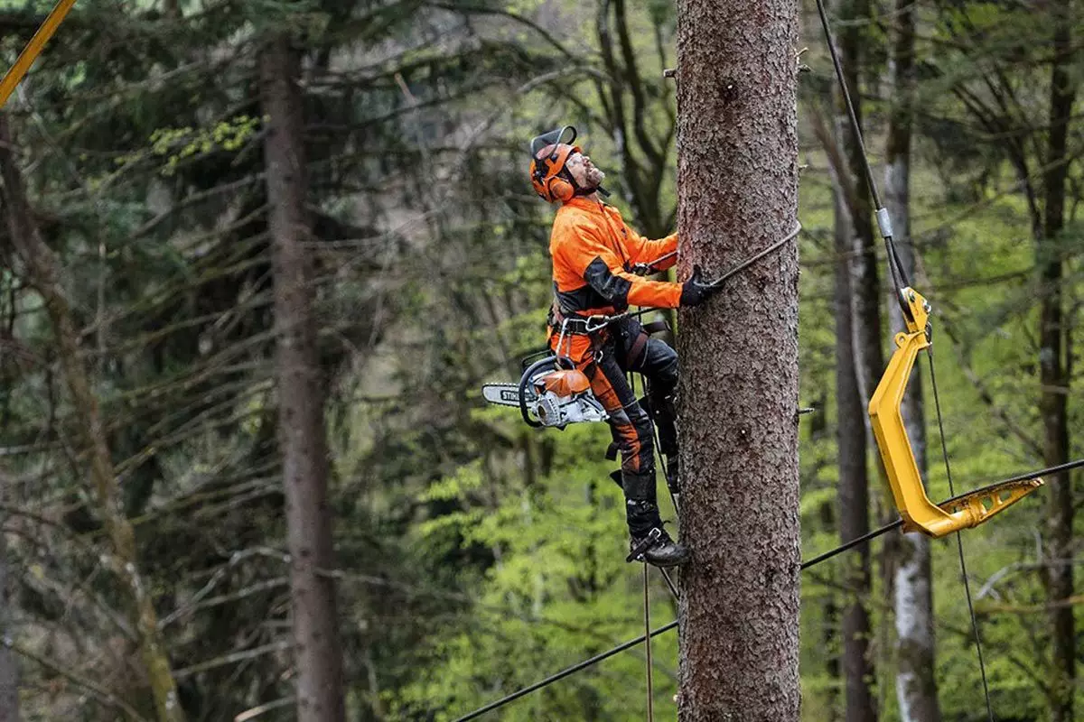 Three Ways to Help Your Tree Care Business Make It During A Slow Season