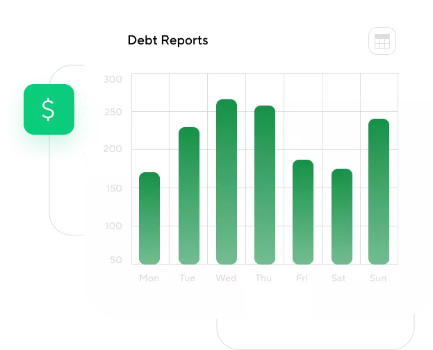 Debt Reports