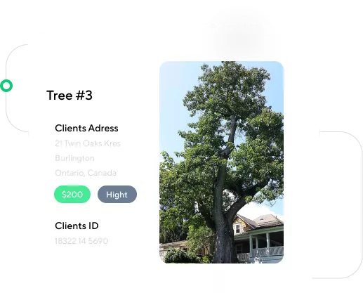 Tree Inventory Software