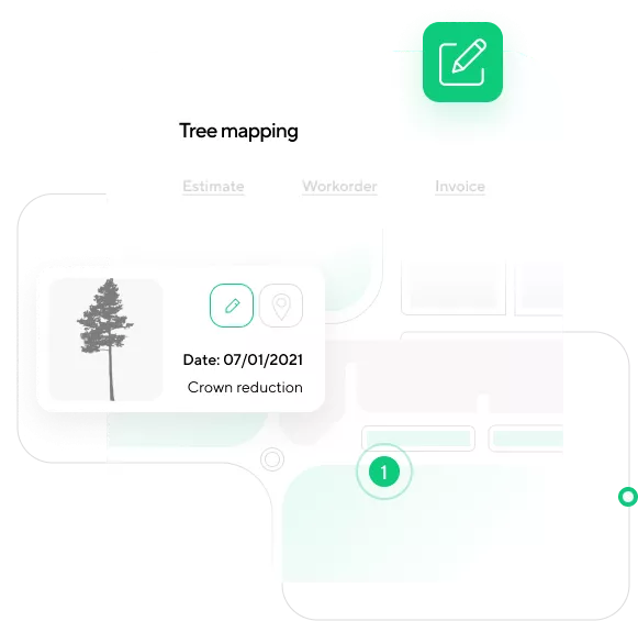 Tree Mapping