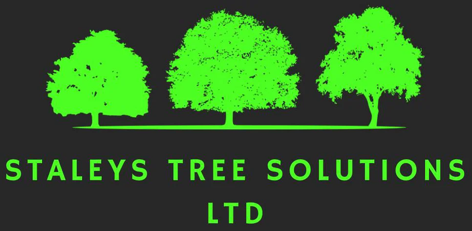 Staleys Tree Solutions