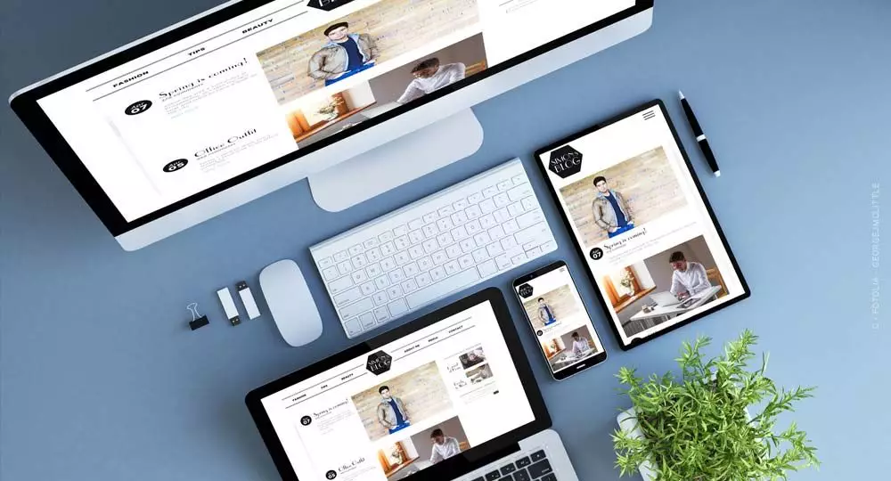 Business Tools Every Tree Management Company Should Be Using