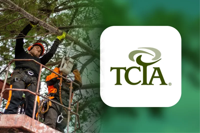 ISA and TCIA