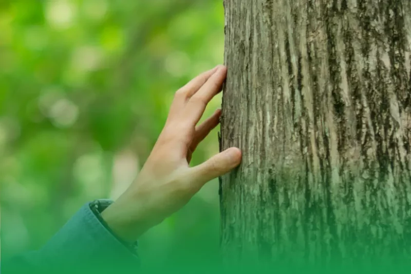 Take an Active Approach Towards Ensuring Tree Health