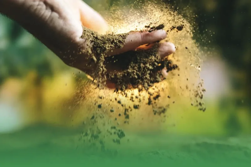 Sustainable Tree Care Products